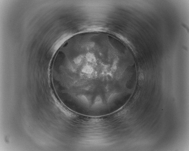 X0000101161423200807071147
