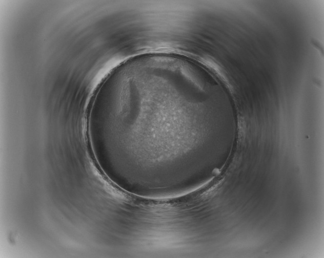 X0000101161424200807071147