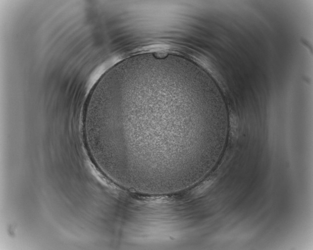 X0000101161426200807071147