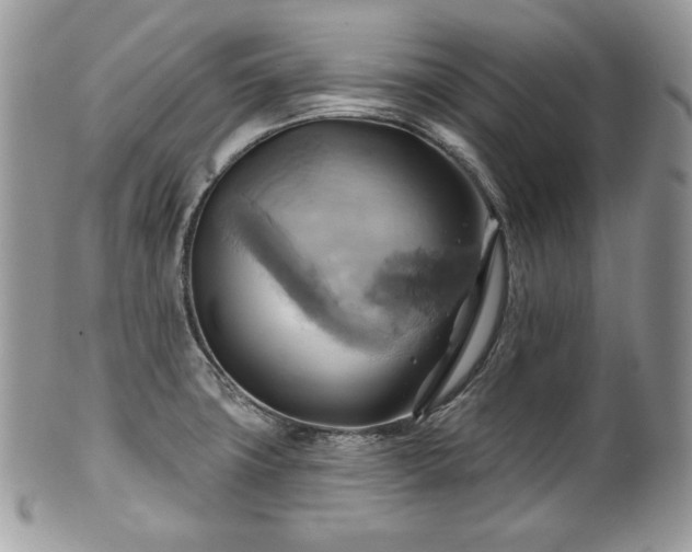 X0000101161427200807071147