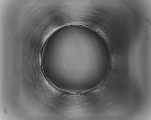 X0000101161428200807071147