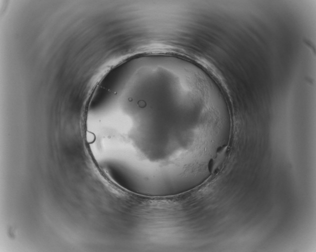 X0000101161429200807071147