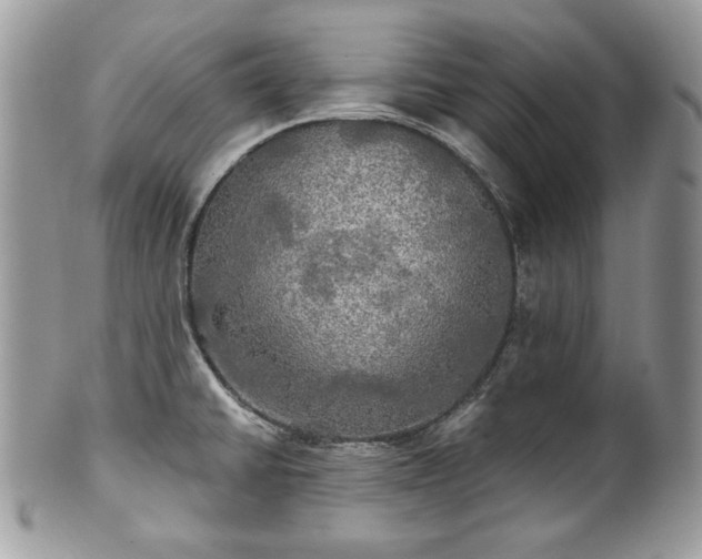 X0000101161430200807071147