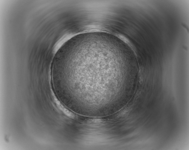 X0000101161431200807071147
