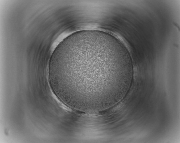 X0000101161432200807071147