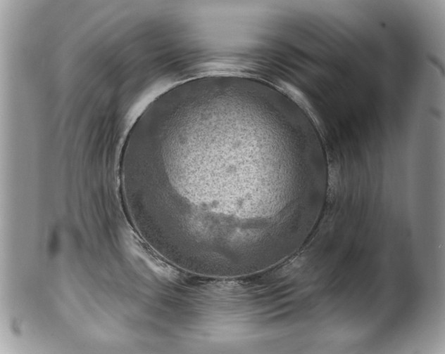 X0000101161435200807071147