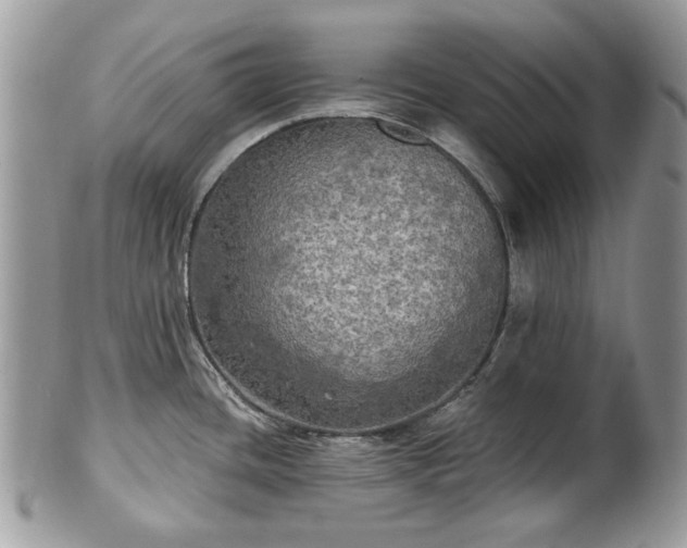X0000101161436200807071147
