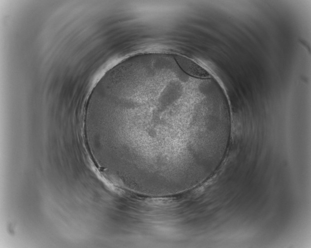 X0000101161437200807071147
