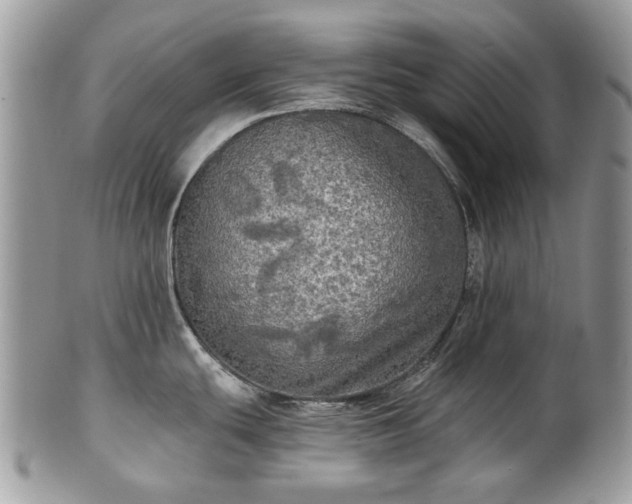 X0000101161439200807071147