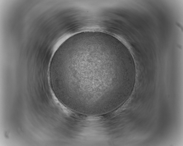 X0000101161440200807071147