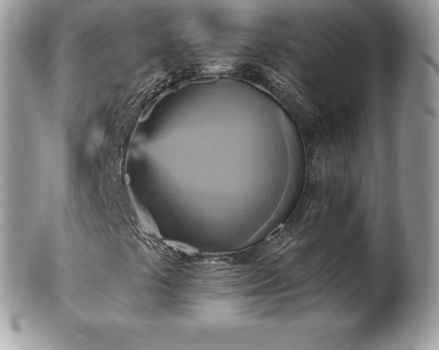 X0000101161441200807071146