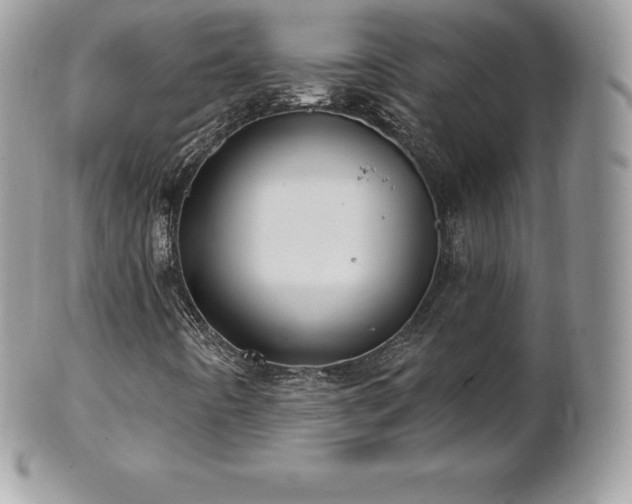 X0000101161442200807071146