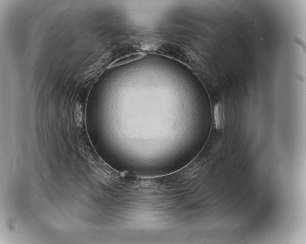 X0000101161443200807071146