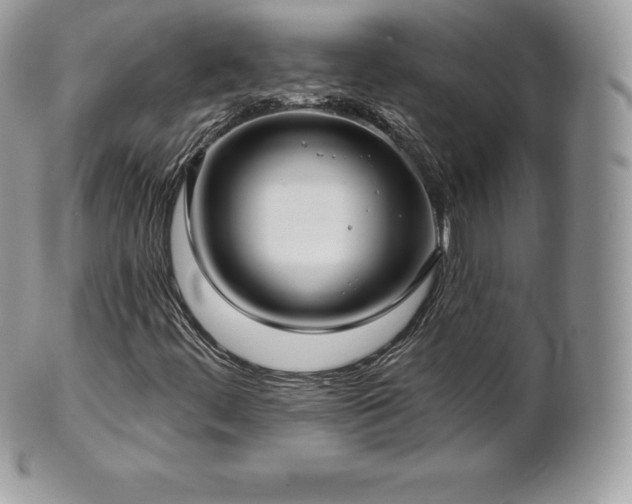 X0000101161444200807071146