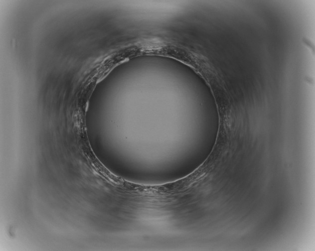 X0000101161445200807071146