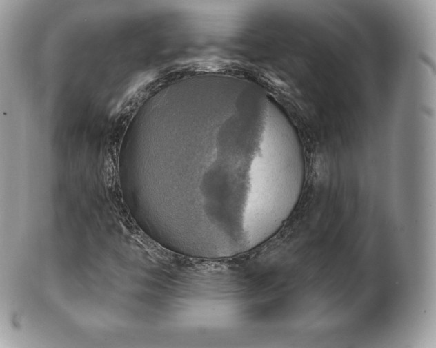 X0000101161446200807071146