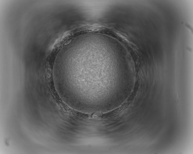 X0000101161447200807071146