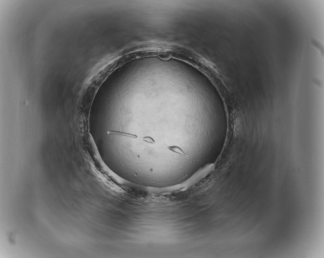 X0000101161448200807071146