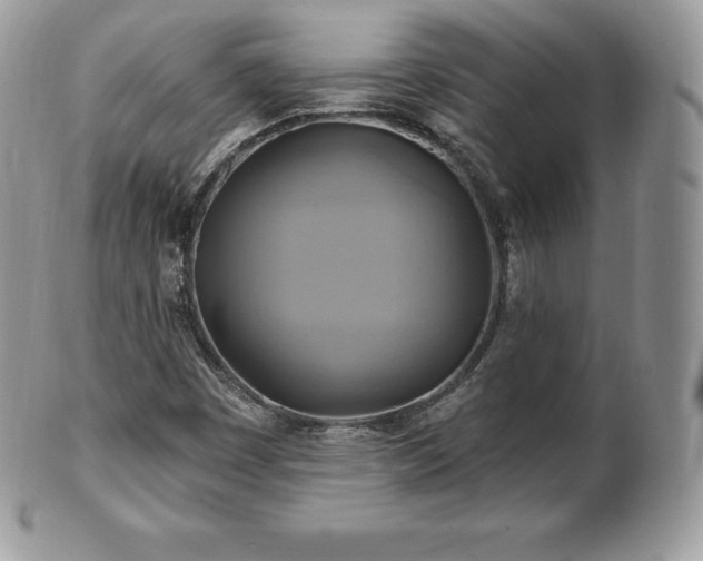 X0000101161449200807071146