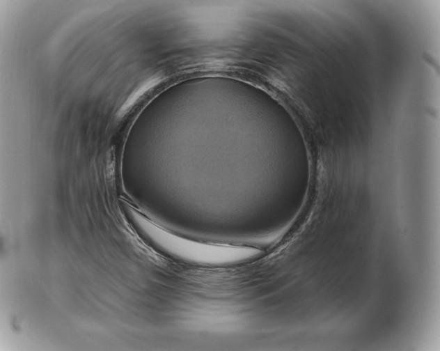 X0000101161450200807071146