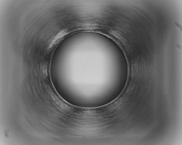 X0000101161451200807071146