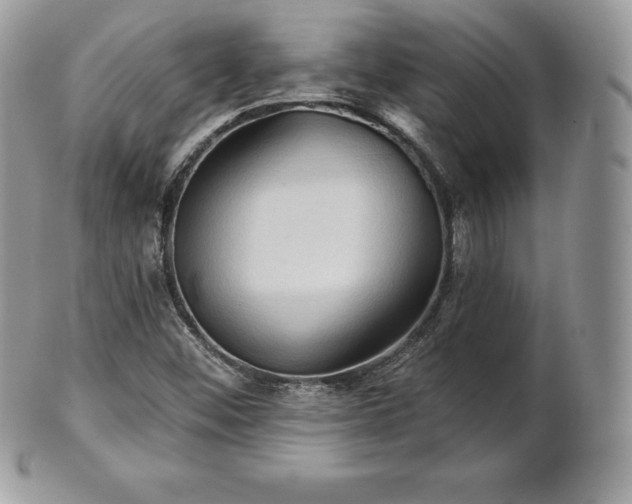 X0000101161452200807071146