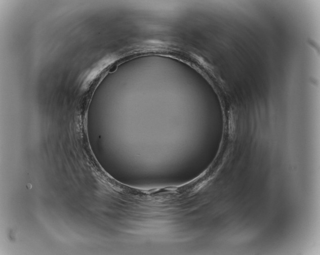 X0000101161453200807071146