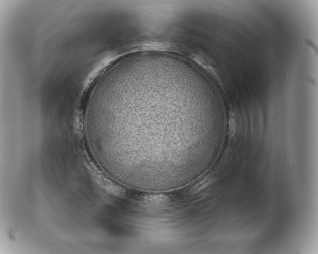 X0000101161454200807071146