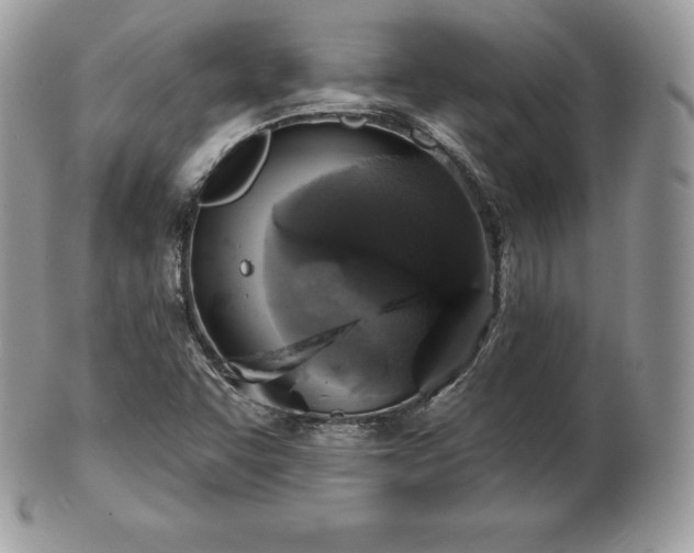 X0000101161455200807071146