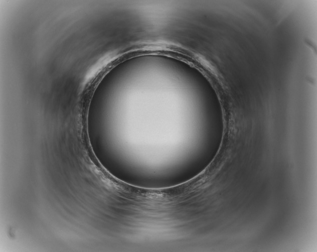 X0000101161456200807071146