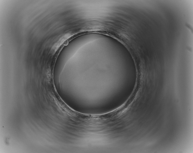 X0000101161457200807071146