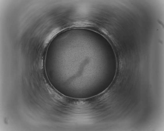 X0000101161459200807071146