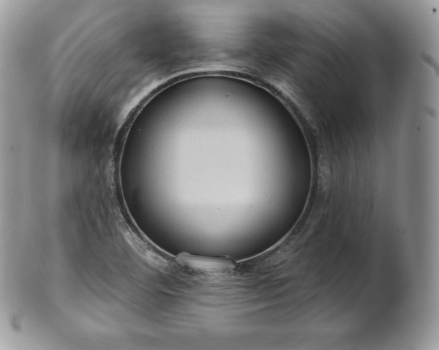 X0000101161460200807071146