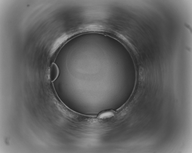 X0000101161461200807071146