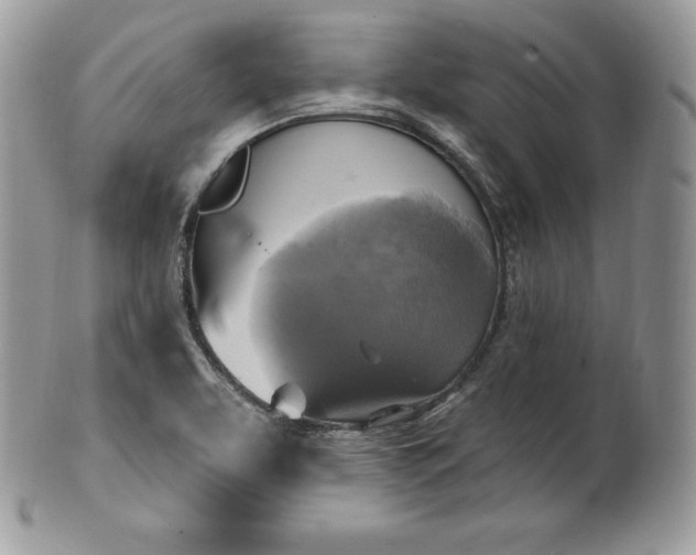 X0000101161463200807071146