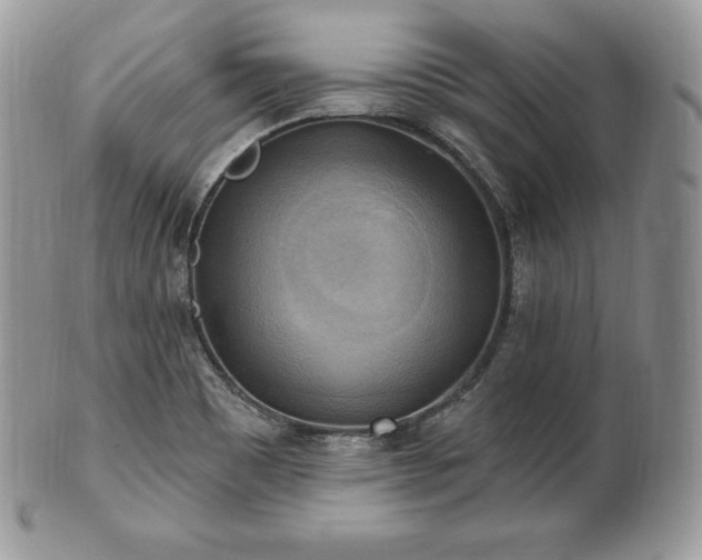 X0000101161465200807071146