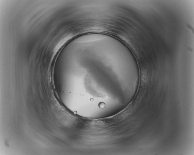 X0000101161466200807071146