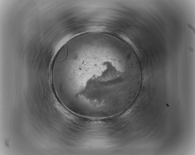 X0000101161467200807071146