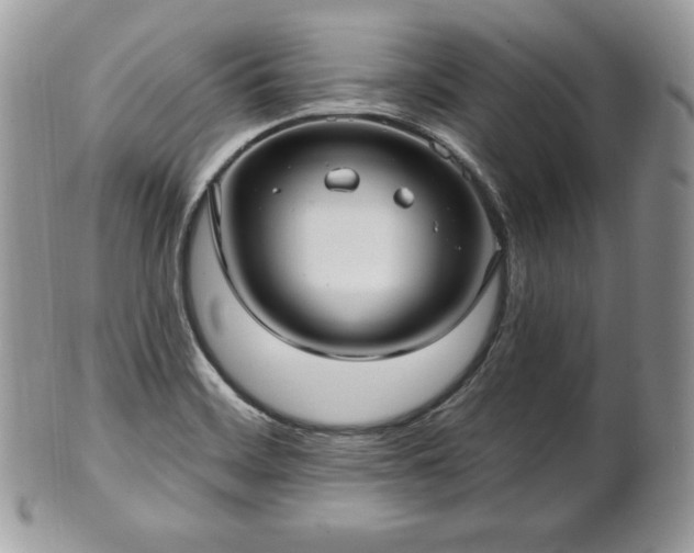 X0000101161468200807071146