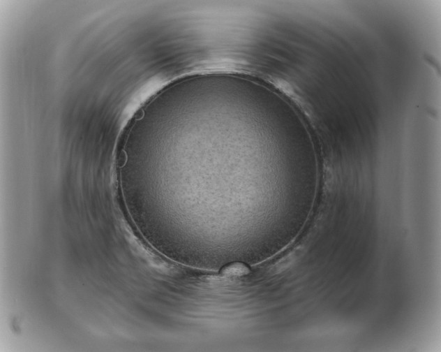 X0000101161469200807071146