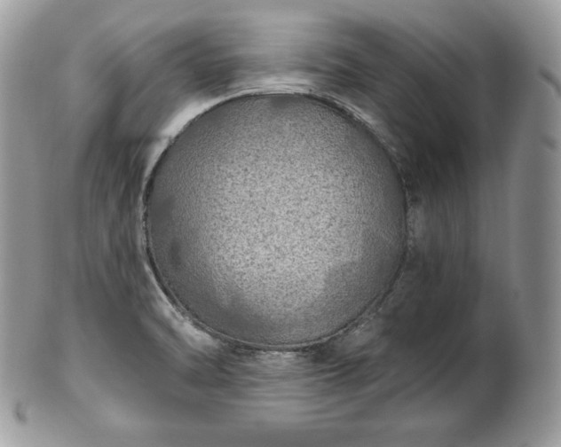 X0000101161470200807071146