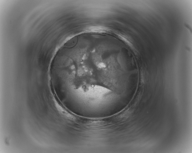 X0000101161471200807071146