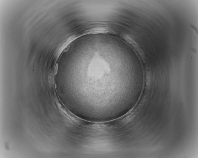 X0000101161473200807071146