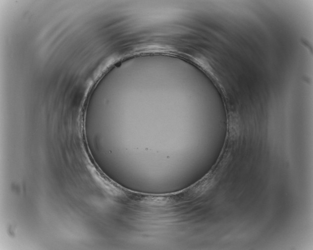 X0000101161474200807071146