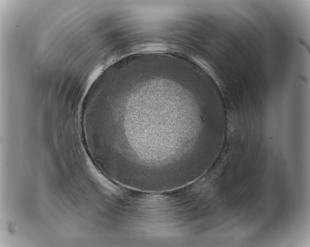 X0000101161475200807071146