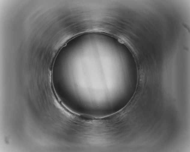 X0000101161476200807071146