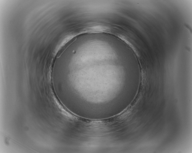 X0000101161477200807071146