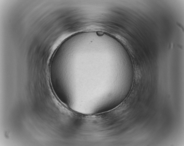 X0000101161478200807071146