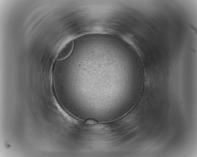 X0000101161479200807071146