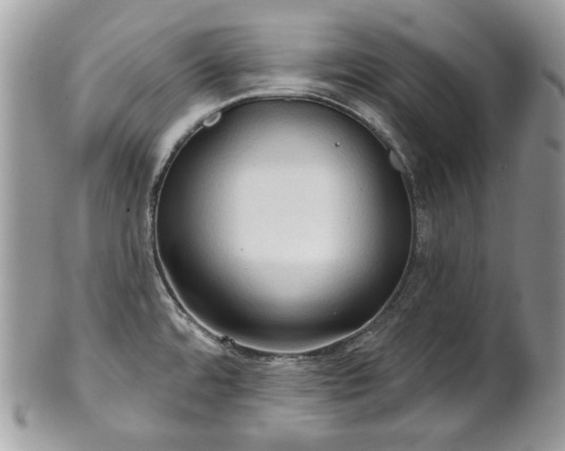 X0000101161480200807071146